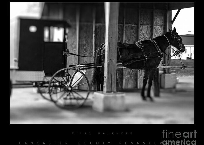Amish Greeting Card featuring the photograph Amish Buggy Parking by Vilas Malankar