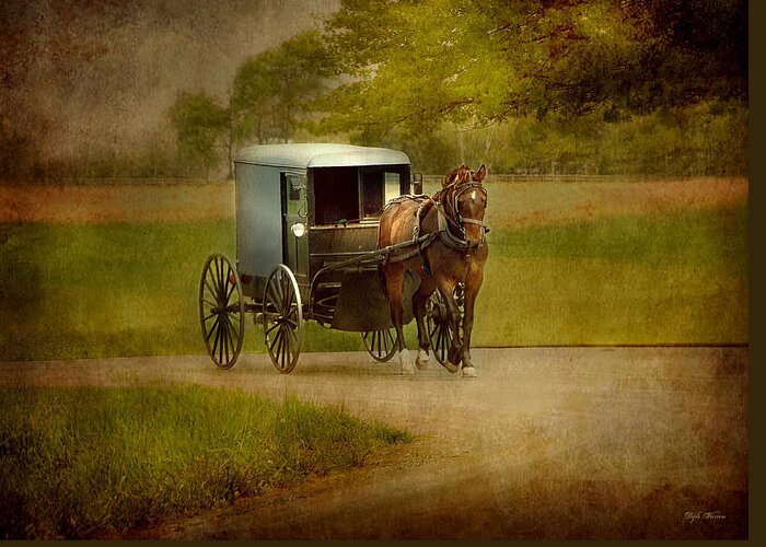 Amish Greeting Card featuring the photograph Amish Buggy Ride by Dyle  Warren