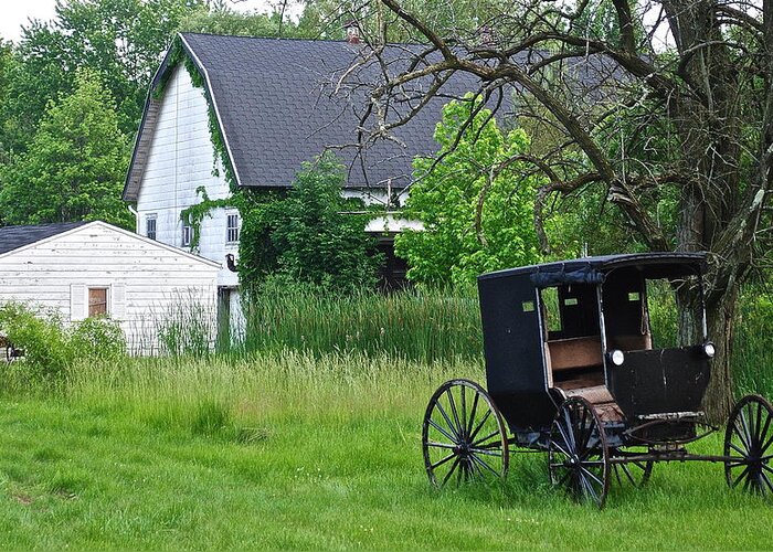 Amish Greeting Card featuring the photograph Amish Way of Life by Frozen in Time Fine Art Photography