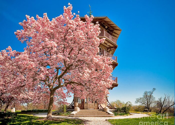 Patterson Park Pagoda Greeting Card featuring the photograph An Afternoon At Patterson Park by SCB Captures