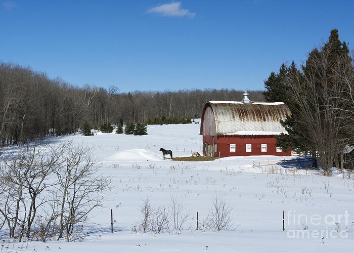 Americana Greeting Card featuring the photograph an American Frozen Pasture by Dan Hefle