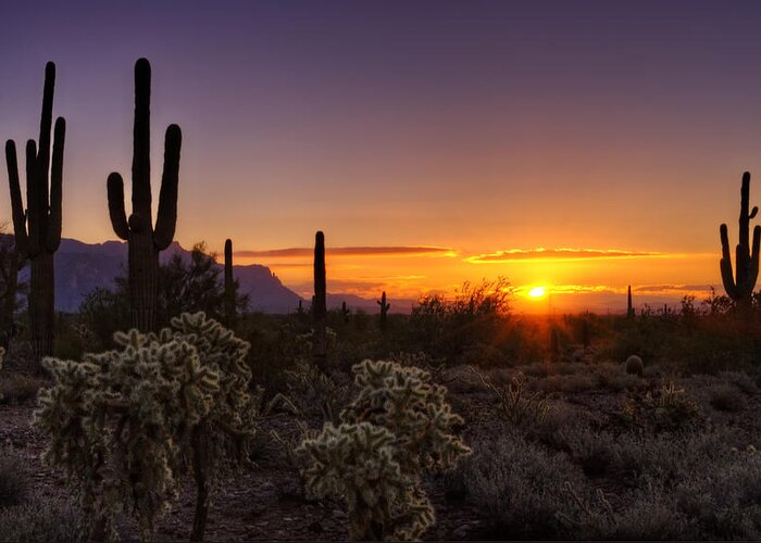 Sunrise Greeting Card featuring the photograph An Arizona Winter Sunrise by Saija Lehtonen