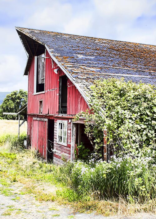 Barn Greeting Card featuring the photograph An Old Barn in color by Cathy Anderson