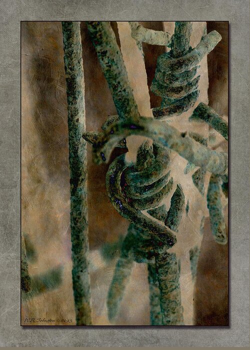 Barbed Wire Greeting Card featuring the photograph Ancient Barrier by WB Johnston