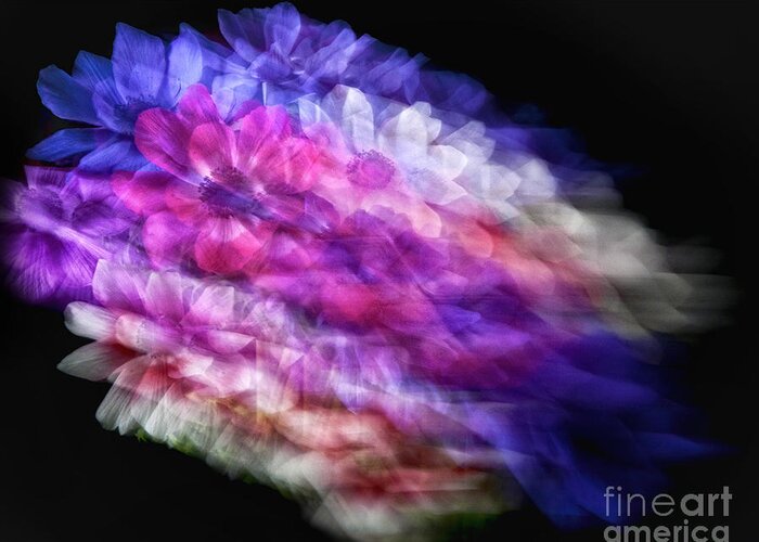Flowers Greeting Card featuring the photograph Anemone Abstract by Claudia Kuhn