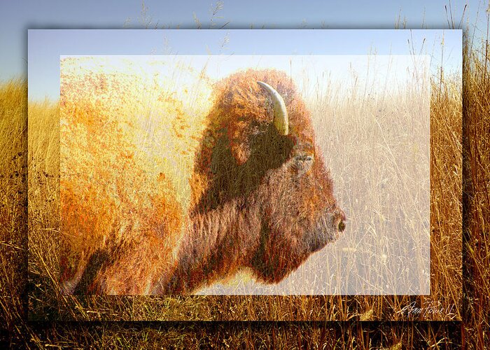 Buffalo Greeting Card featuring the digital art animals - bison - Spirit of The Tall Grass by Ann Powell