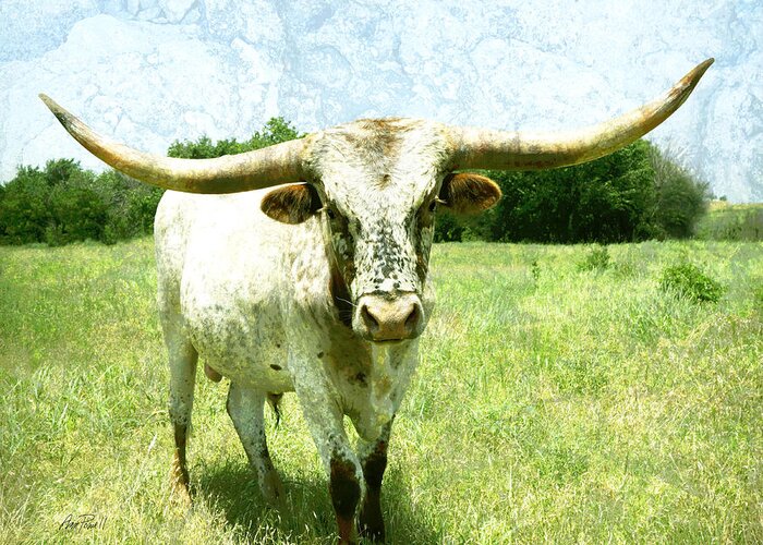 Cow Greeting Card featuring the photograph animals - cows -Longhorn in Summer Pasture by Ann Powell