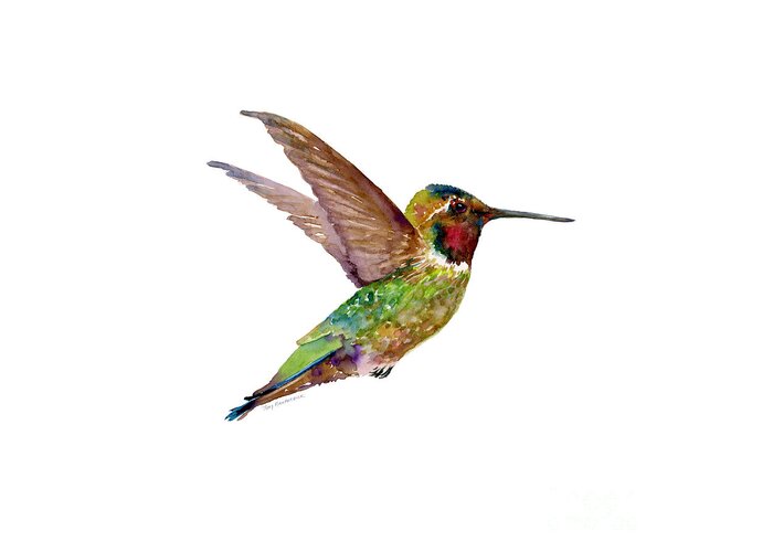 Bird Greeting Card featuring the painting Anna Hummingbird by Amy Kirkpatrick