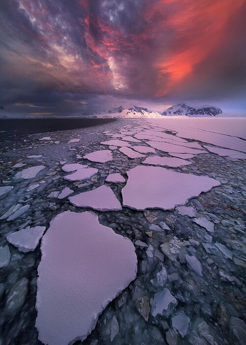 Landscape Greeting Card featuring the photograph Antarctica Fire by Victor Liu