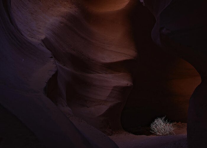 Antelope Greeting Card featuring the photograph Antelope Canyon 38 by Ingrid Smith-Johnsen