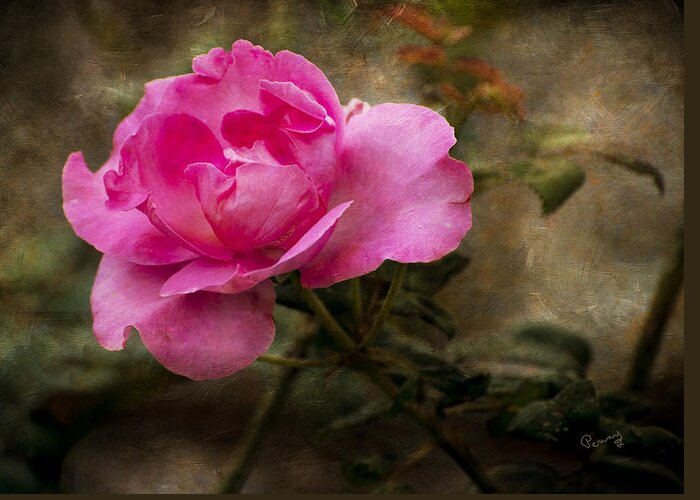 : Penny Lisowski Greeting Card featuring the photograph Antique Rose by Penny Lisowski