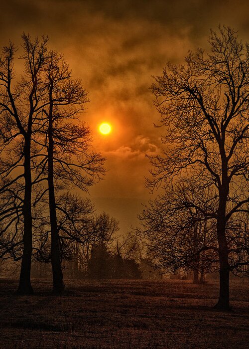 Surrealism Greeting Card featuring the photograph Apocalypse Sunrise by Michael Dougherty