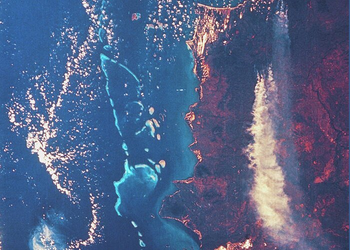 Forest Fire Greeting Card featuring the photograph Apollo 7 Spacecraft Photograph Of A Forest Fire by Nasa/science Photo Library.
