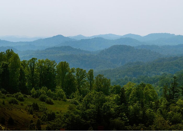 Appalachian Forest Greeting Card featuring the photograph Appalachian-cumberland Mountains by Kenneth Murray