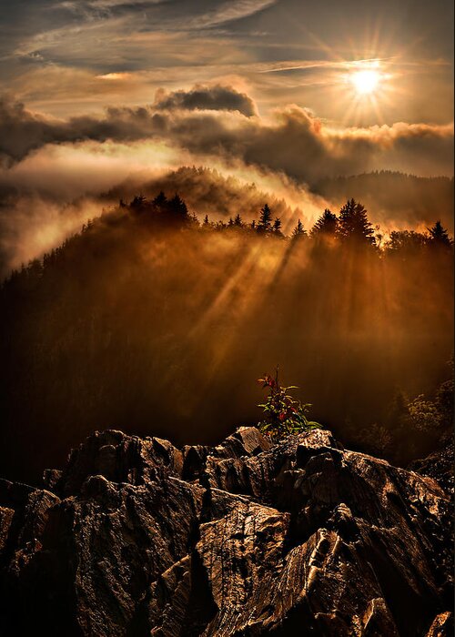 2011 Greeting Card featuring the photograph Appalachian Dawn by Robert Charity