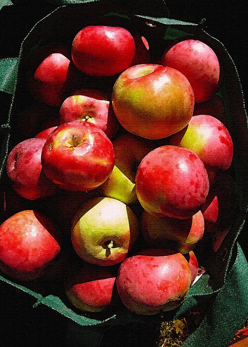 Apple Greeting Card featuring the photograph Apple Harvest by Kathy Bassett