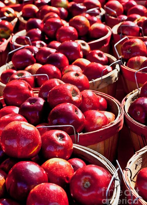 Farmers Market Greeting Card featuring the photograph Apples by Richard Lynch