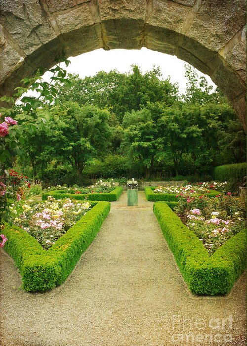 Roses Greeting Card featuring the photograph Arch to the Rose Garden by Maria Janicki