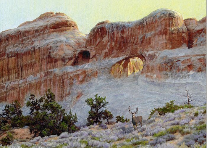 Arches National Park Greeting Card featuring the drawing Arches Mulie by Bruce Morrison