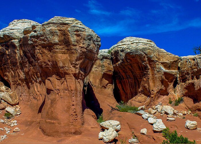 Arches National Park Greeting Card featuring the photograph Arches National Park by Tommy Farnsworth