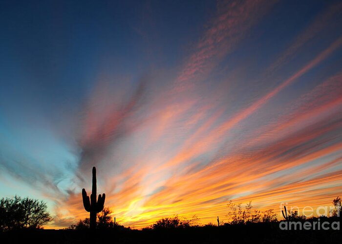 Sunset Greeting Card featuring the photograph Arizona Radiance by Joanne West