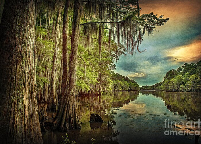 caddo Lake Greeting Card featuring the photograph Around the Bend on Caddo Lake by Tamyra Ayles