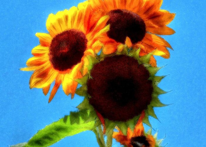 Artful Sunflower Greeting Card featuring the photograph Artful Sunflower by Patrick Witz