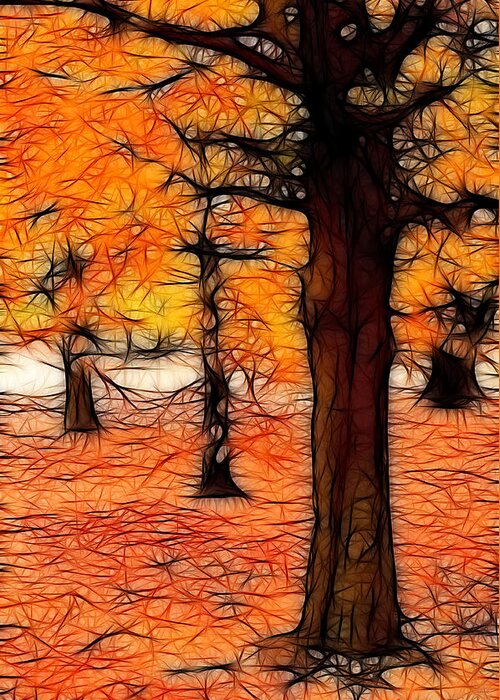 Fall Greeting Card featuring the photograph Artistic Fall Trees by Don Johnson