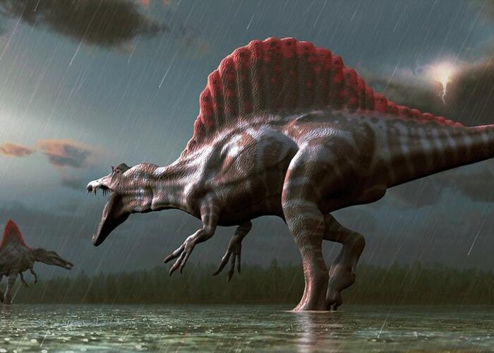 Prehistoric Era Greeting Card featuring the digital art Artwork Of A Spinosaurus Dinosaur by Mark Garlick