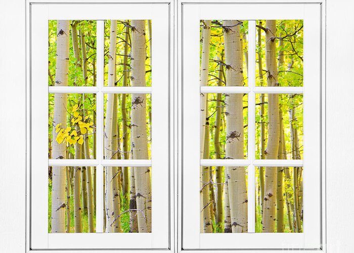 Windows; Window; 'picture Windows'; Awesome; Fine Art Picture Windows; Window With A View; Window Fine Art; Print Is The Frame; Cool; Beautiful; Artwork; For Sale; Cafe Art; Restaurant Art; Boardroom Art; Waiting Room Art; Commercial Space Art; Gift Ideas; Beautiful Window View; Corporate Art; Colorful; Autumn; Fall; Foliage; Scenic; View; Colorado; 'rocky Mounatins'; 'aspen Trees'; Yellow; Burning; Orange; Colorado Nature; Landscapes; 'james Bo Insogna'; '; Seasons Greeting Card featuring the photograph Aspen Forest White Picture Window Frame View by James BO Insogna