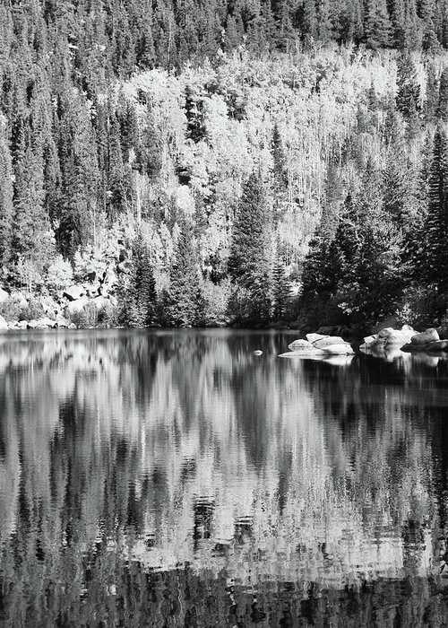 Nature Greeting Card featuring the photograph Aspen Reflections - Black and White by Harold Rau