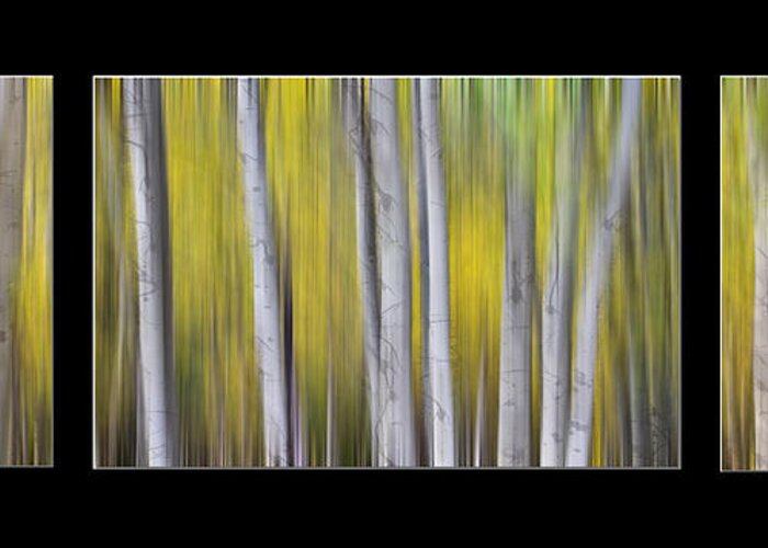 Aspen Greeting Card featuring the photograph Aspen Splendor Dreaming Triptych Collage by James BO Insogna