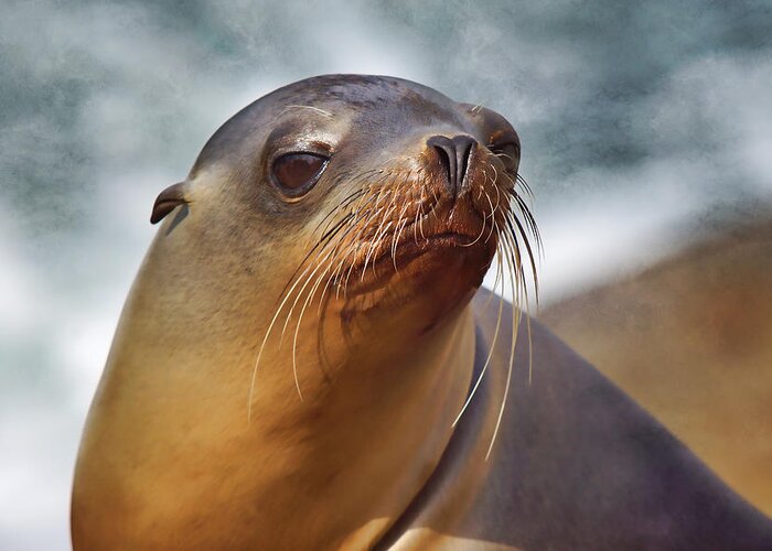 Sea Lion Greeting Card featuring the photograph At the Sea by Leda Robertson