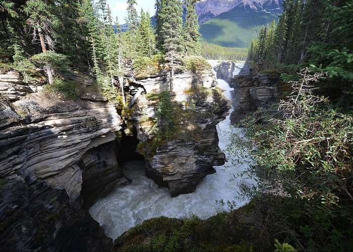 Banff Greeting Card featuring the photograph Athabasca Falls by Yue Wang