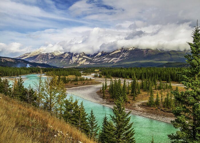 Scenics Greeting Card featuring the photograph Athabasca River by Ed Cheung