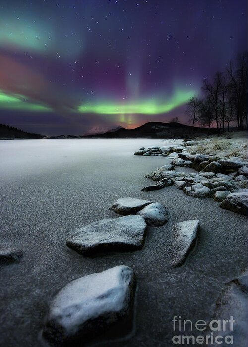 Aurora Borealis Greeting Card featuring the photograph Aurora Borealis Over Sandvannet Lake by Arild Heitmann