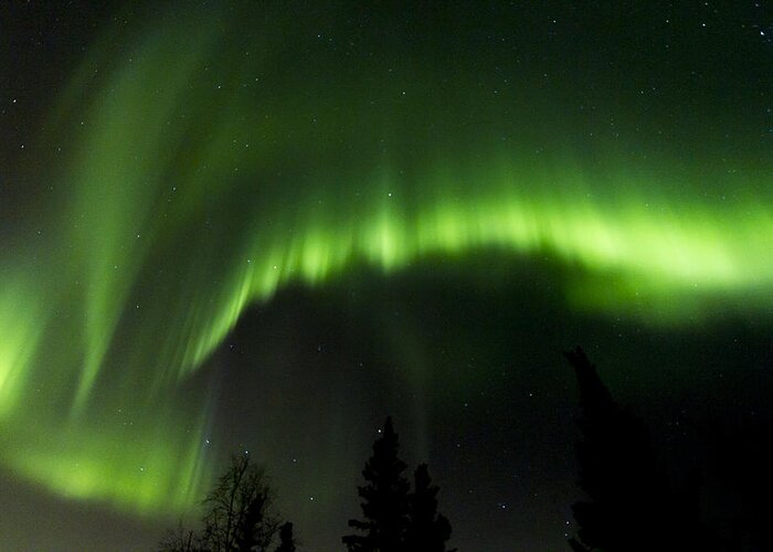 Alaska Greeting Card featuring the photograph Aurora Scorch by Kyle Lavey