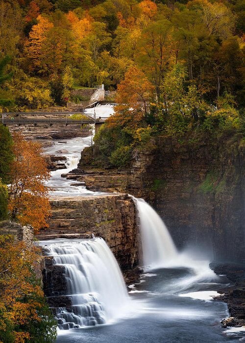 America Greeting Card featuring the photograph Ausable Chasm by Mihai Andritoiu