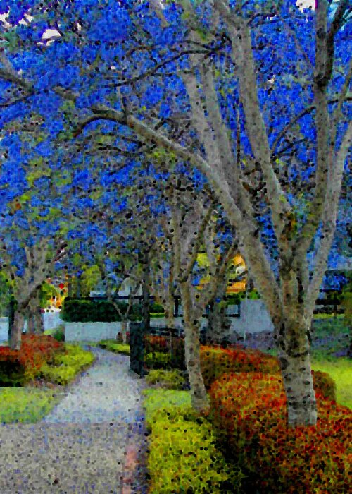 Expressive Greeting Card featuring the photograph Australia's Blue Blossoms by Lenore Senior