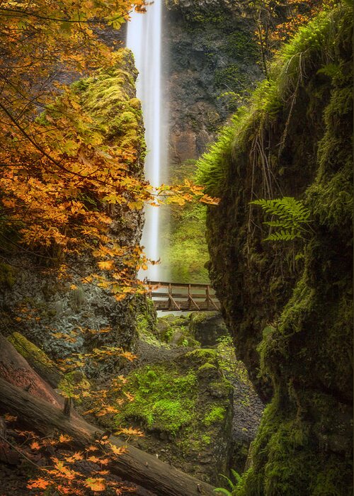 Oregon Greeting Card featuring the photograph Autumn at Elowah by Jon Ares