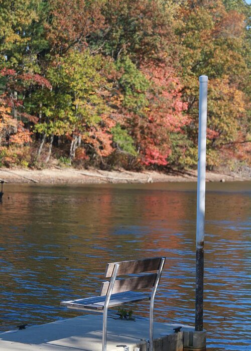 Bench Greeting Card featuring the photograph Autumn at the Lakeview camp by Vadim Levin