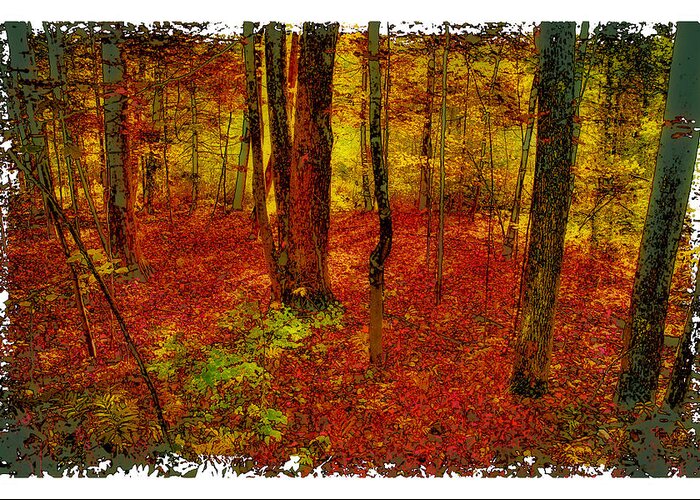 David Patterson Greeting Card featuring the photograph Autumn Carpet by David Patterson