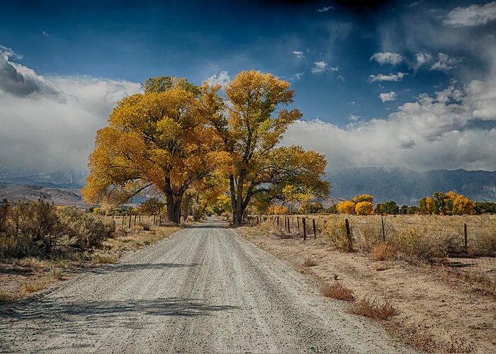 Fall Greeting Card featuring the photograph Autumn Country Road by Cat Connor
