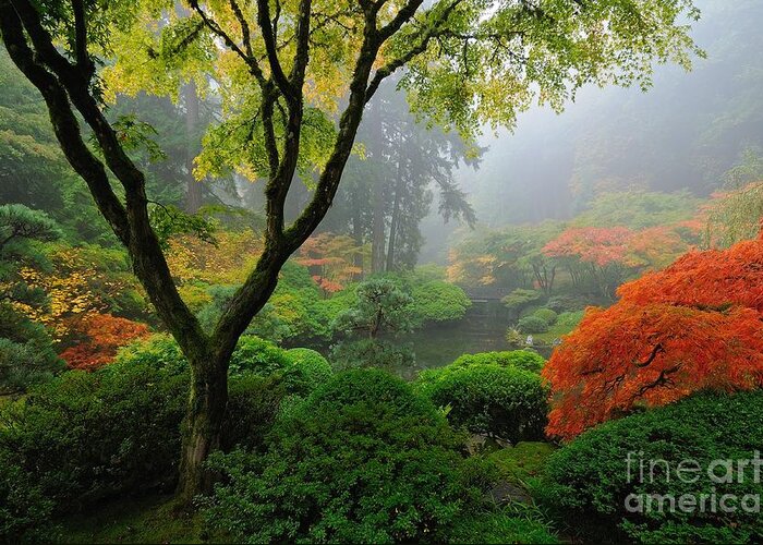 Oregon Greeting Card featuring the photograph Foggy Autumn Morning at Portland Japanese Garden by Tom Schwabel