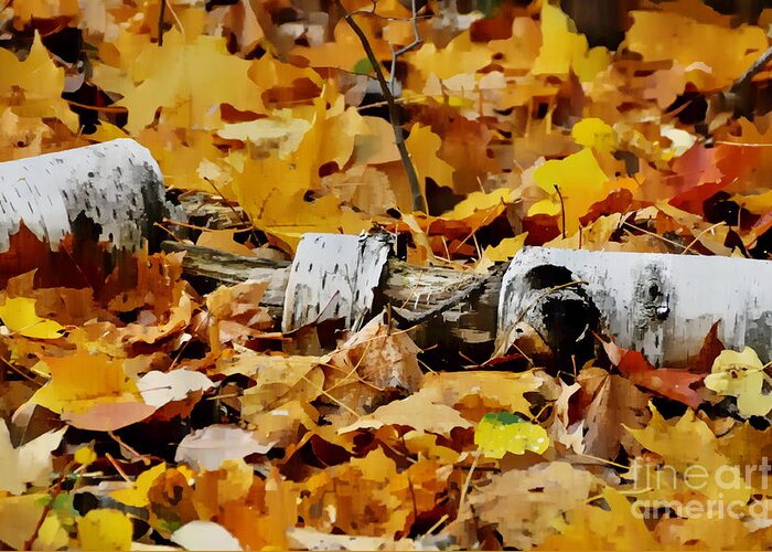 Autumn Greeting Card featuring the photograph Autumn Fallen Birch by Andrea Kollo
