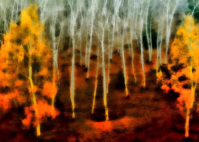 Autumn Greeting Card featuring the photograph Autumn Forest by Ellen Heaverlo