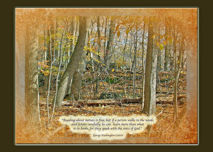 Autumn Greeting Card featuring the photograph Autumn Forest - George Washington Carver Quote by Carol Senske