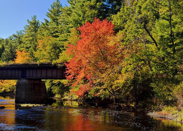 Autumn Greeting Card featuring the photograph Autumn Glory on the Millers River in Orange by Mitchell R Grosky