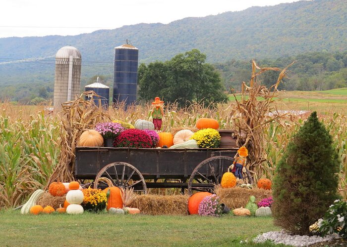 Autumn Greeting Card featuring the photograph Autumn Harvest in Wagon by Jeanette Oberholtzer