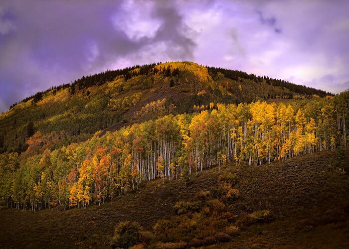 Purple Greeting Card featuring the photograph Autumn Hillside by Ellen Heaverlo